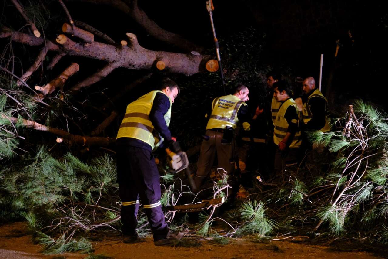 Lodos Nedeniyle Devrilen Ağaçlar  Kısa Sürede Kaldırıldı 1